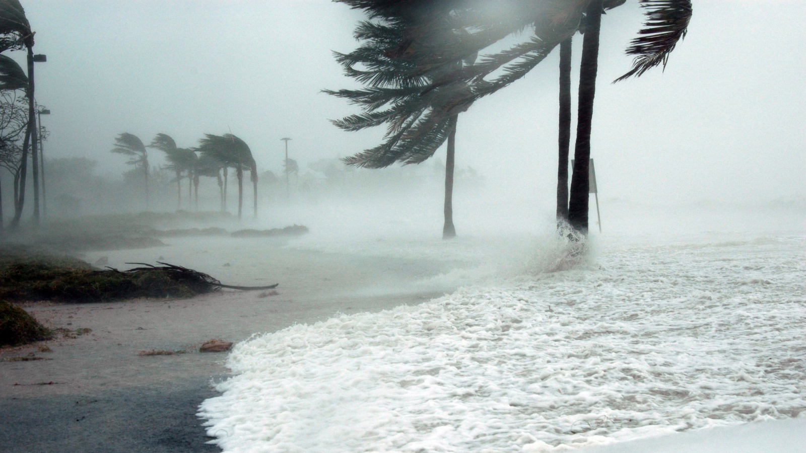 Beach during a tropical storm or hurricane