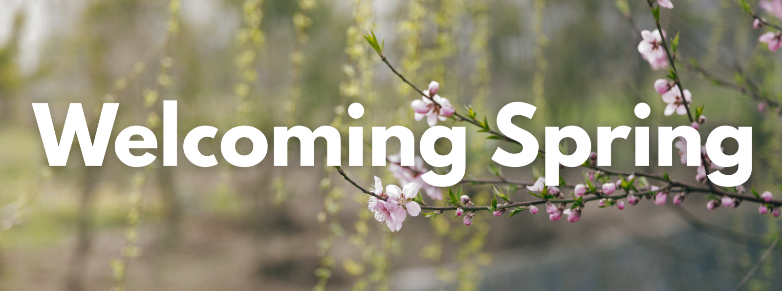 WelcomingSpring.png