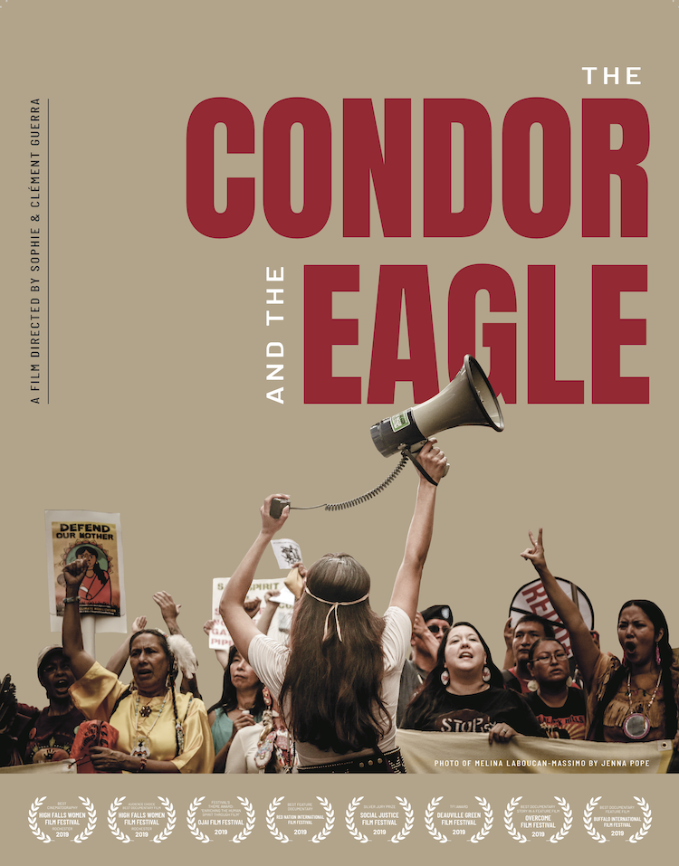 condor%20and%20eagle%20poster%20IMAGE-SMALL.png